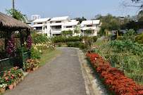 AF1QipN6iNGHNHwUJrRy1Tpd_TjvLrJSQ54AnAWuR253w203-h135-k-no