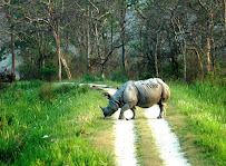 AF1QipOr3SVBg9w4tSjLevNchhgN5IvLP_UknlSVJaREw203-h149-k-no