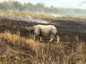 AF1QipPyEuH-XUBr357NnDkYquLF-PBoaDPRSpjb1iJPs483-k-no